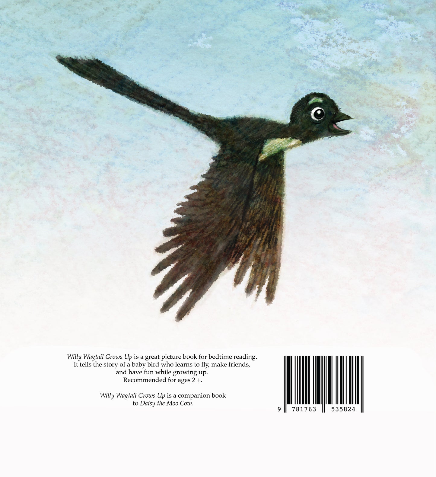 Willy Wagtail Grows Up